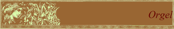 Orgel
